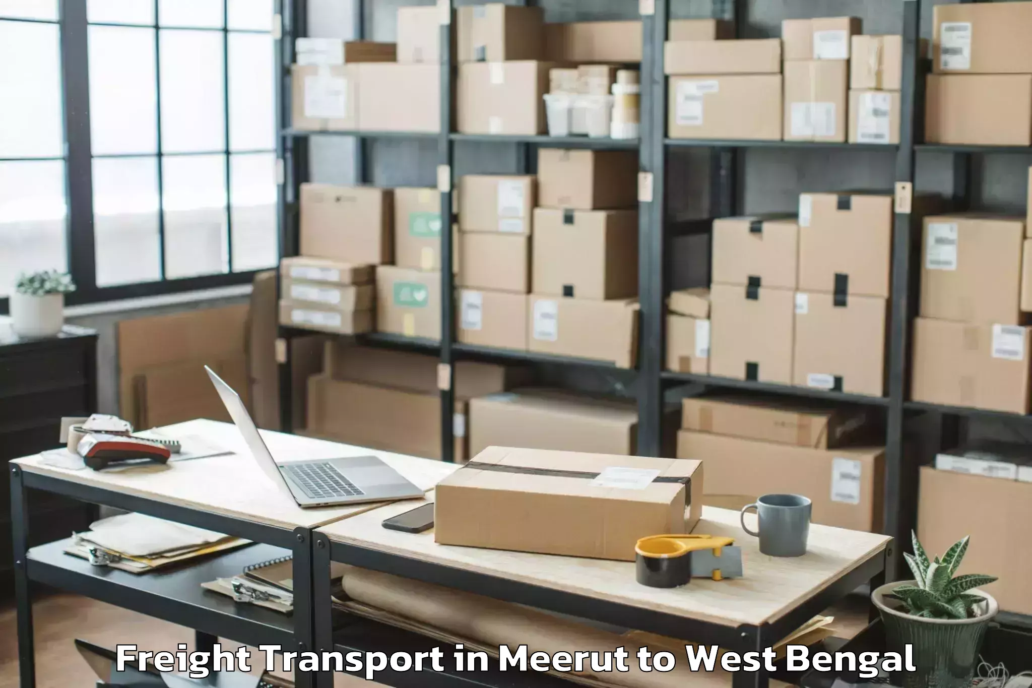 Hassle-Free Meerut to Brainware University Barasat Freight Transport